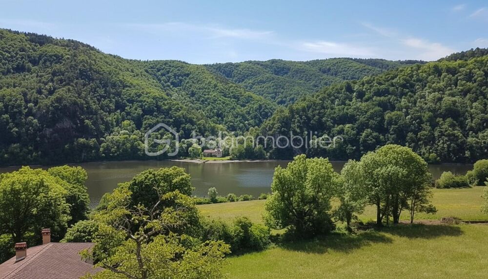 à vendre  Propriété/château Saint-Paul-en-Cornillon (42240)