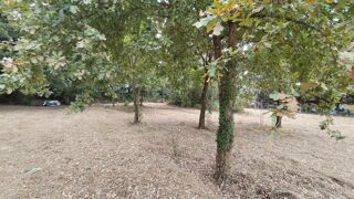  Terrain à vendre 3620 m²