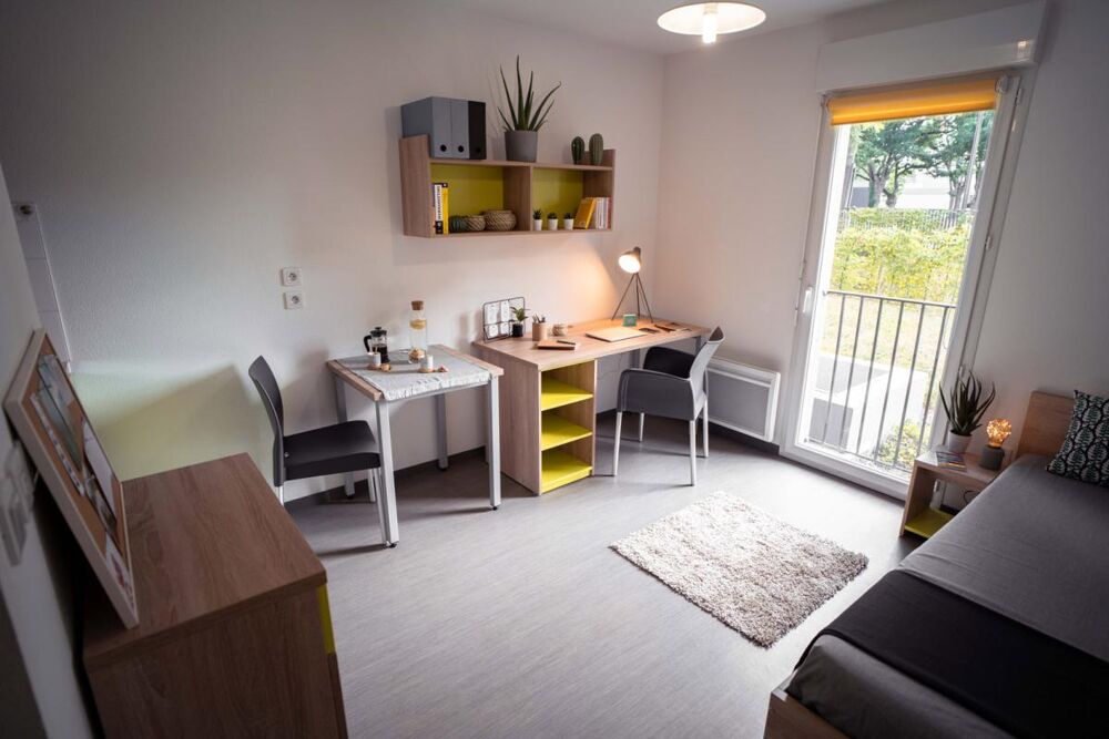 A LOUER - STUDIO MEUBLE PLEIN COEUR DU CAMPUS DE BELLE-BEILLE ANGERS