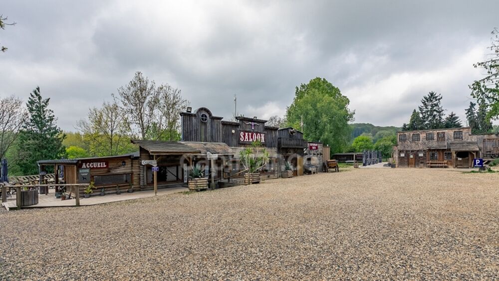  vendre  Proprit/chteau Soissons (02200)