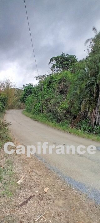  Terrain � vendre 7647 m�