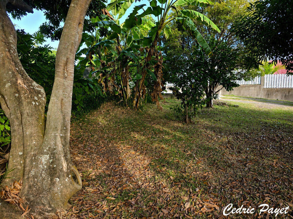Vente Terrain Terrain à vendre de 469,00 m² LA RIVIERE (974) La riviere