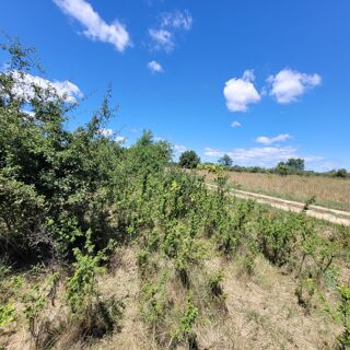  Terrain à vendre 1075 m²
