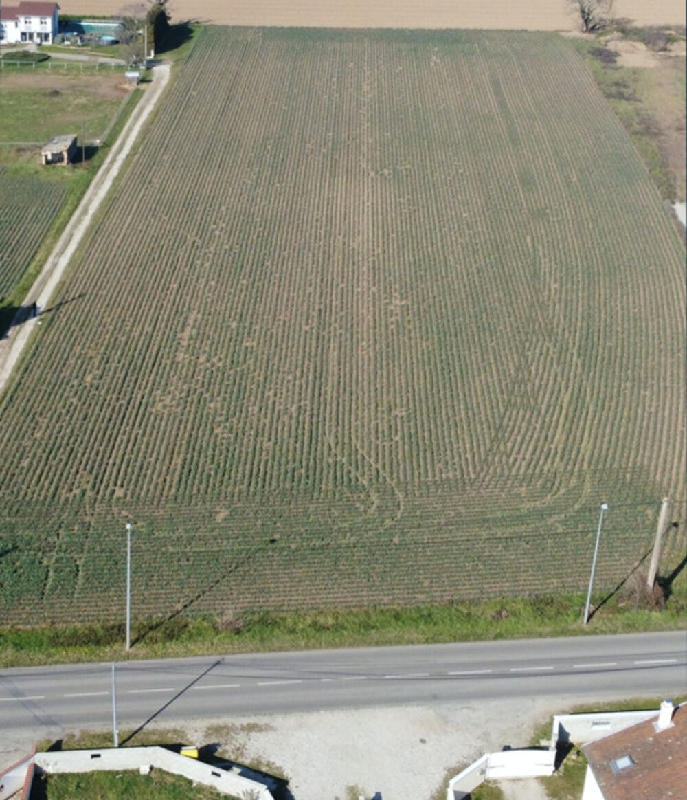 Vente Terrain Terrain Idéal pour Votre Future Maison, Proche de Vienne Beaurepaire