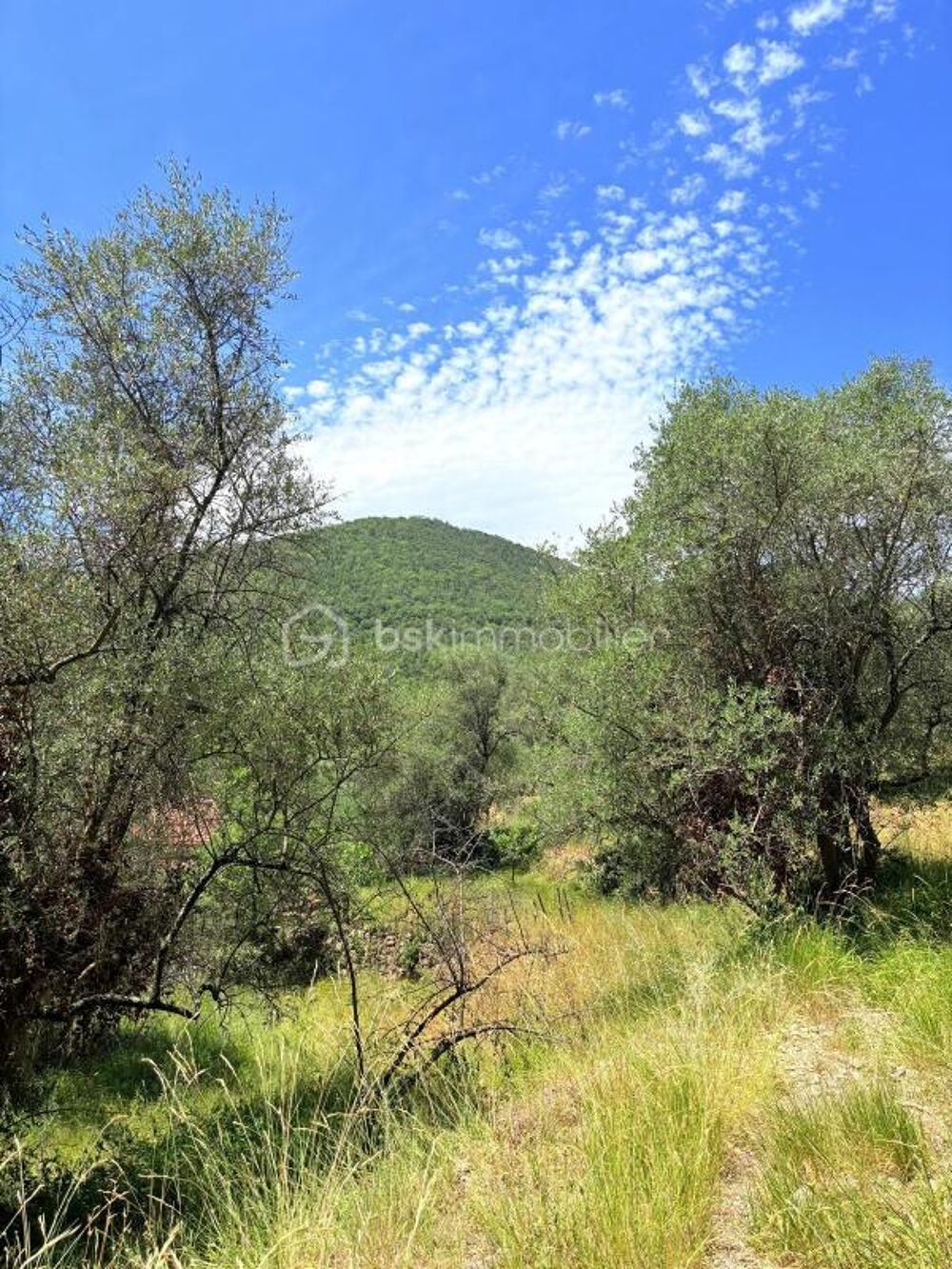 Vente Terrain ? Terrain constructible – Pierrefeu (06910) ? Pierrefeu