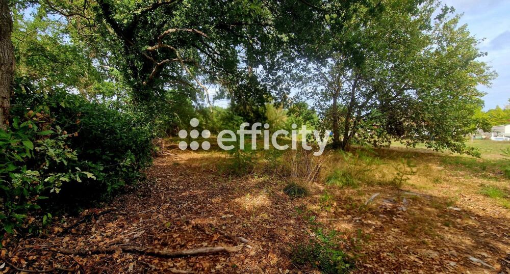 Vente Terrain Terrain Lege cap ferret