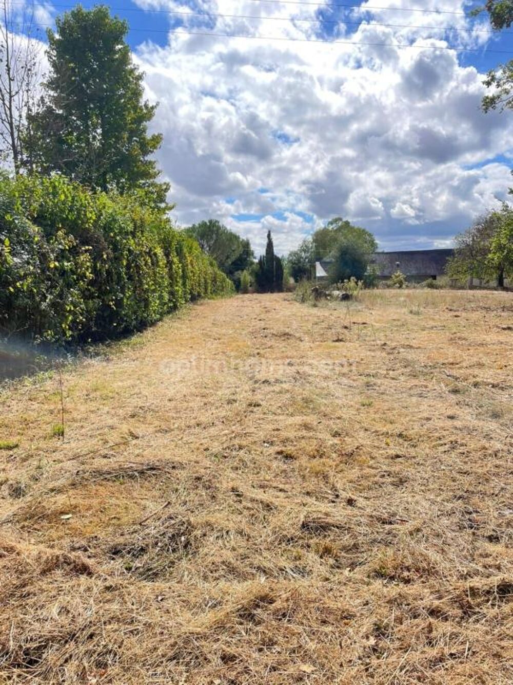 Vente Terrain Belle parcelle arborée de 1 695 m² aux portes des accès 4 voies à Ploërmel Ploermel