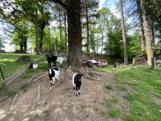  Maison � vendre 9 pi�ces 235 m�