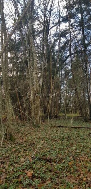  Terrain  vendre 2797 m