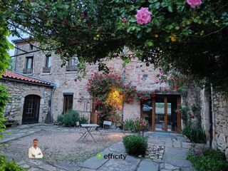  Propri�t�/ch�teau � vendre 11 pi�ces 330 m�