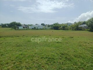  Terrain à vendre 1000 m²