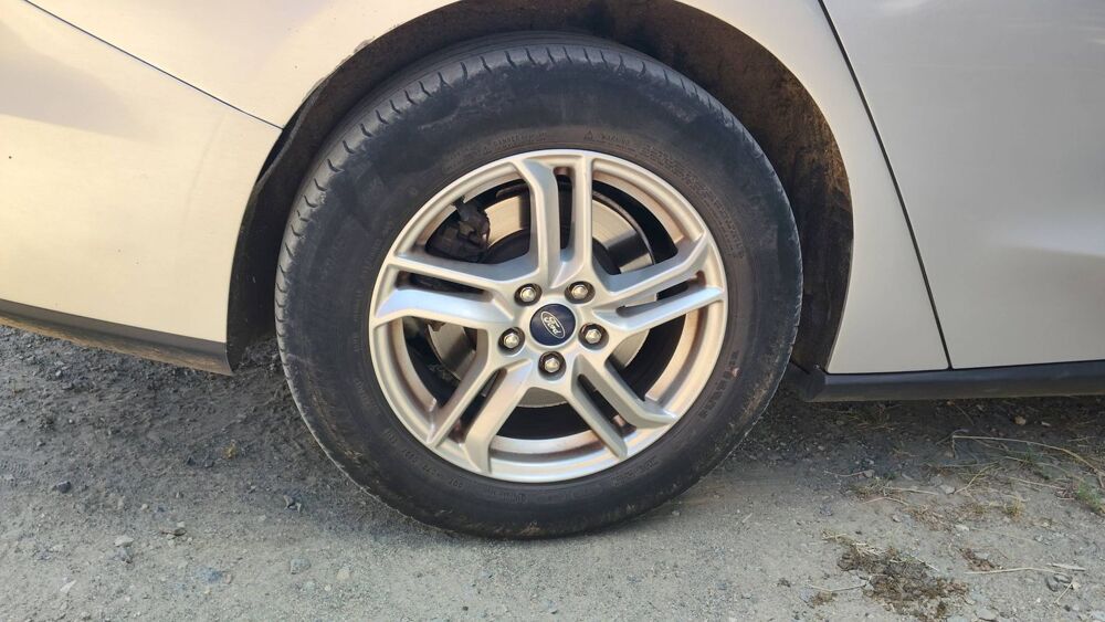 Focus SW 1.5 TDCi 120 4x2 Trend Business 2019 occasion 22160 Plusquellec