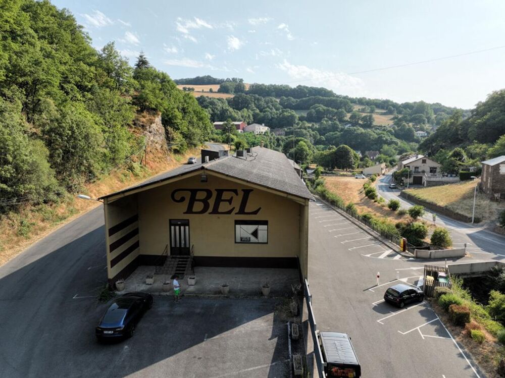 Vente Immeuble Ensemble immobilier de 32 pièces R+1 de 1661 m2 Coupiac