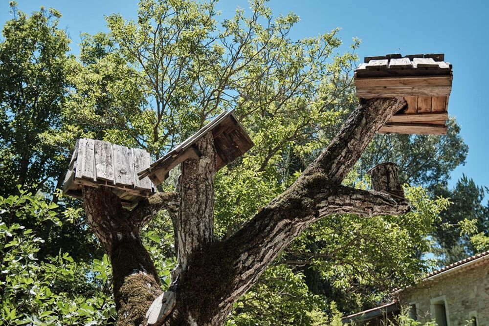 à vendre  Propriété/château Forcalquier (04300)