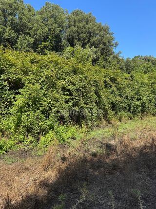  Terrain � vendre 3380 m�