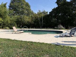  Propriété/château à vendre 8 pièces 343 m²