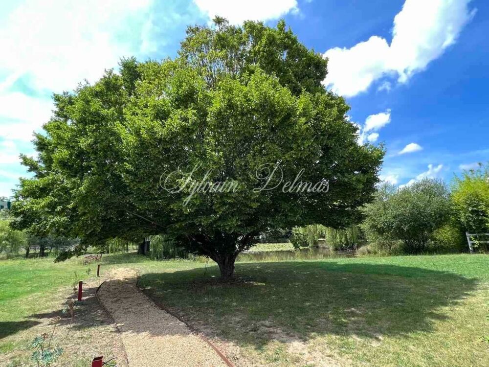 à vendre  Propriété/château Tours (37000)