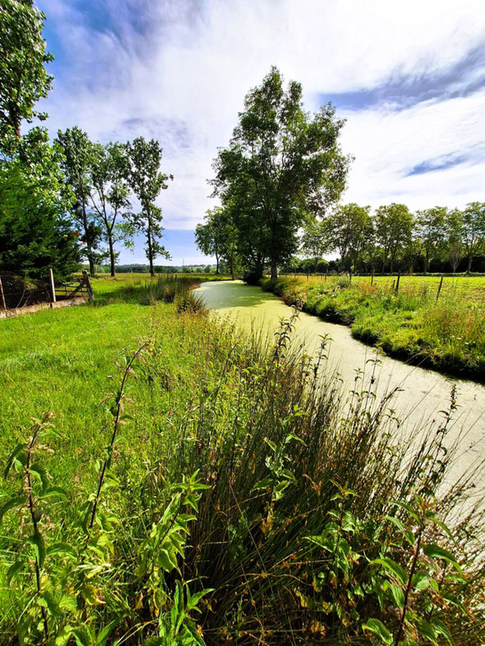 Corps de ferme à aménager avec dépendances et plus de 7 000 m² de terrain Plaisance-du-Gers