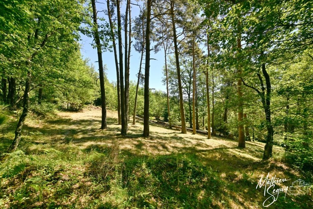 Vente Terrain Terrain à bâtir de 2815 m² à AVEIZE (69) Aveize
