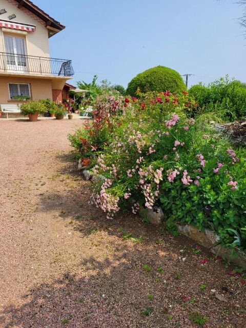   Maison Lons Nord 9 pi�ce(s) 200 m2 Maison - 9 pi�ce(s) - 230 m�