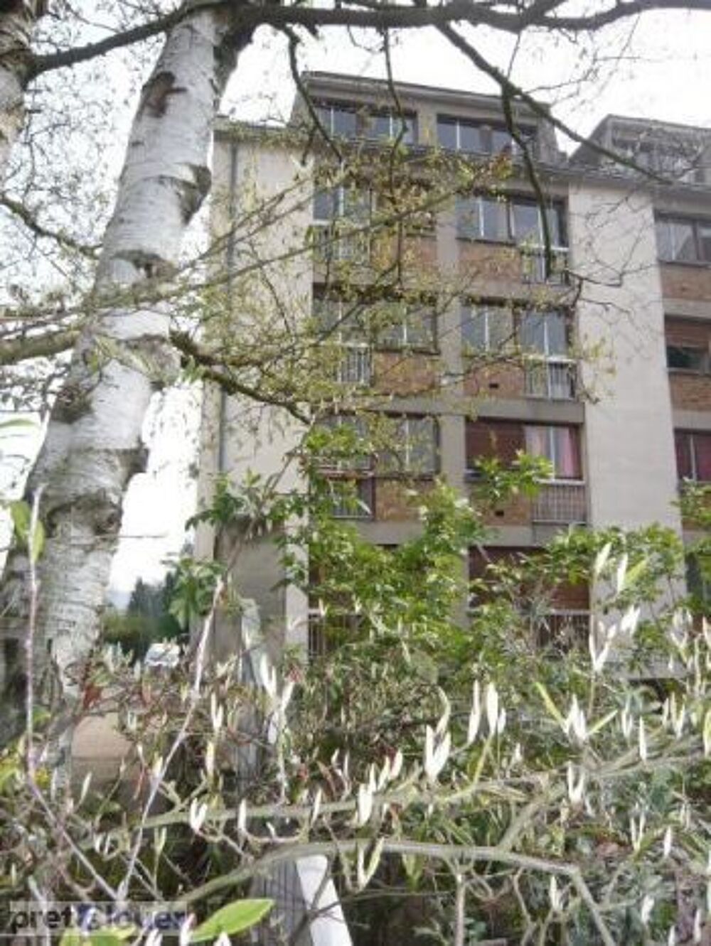 Location Appartement Appartement de 32m2 à louer sur Orsay Orsay