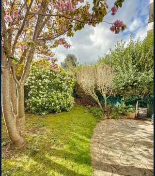  Appartement à louer 3 pièces 75 m²
