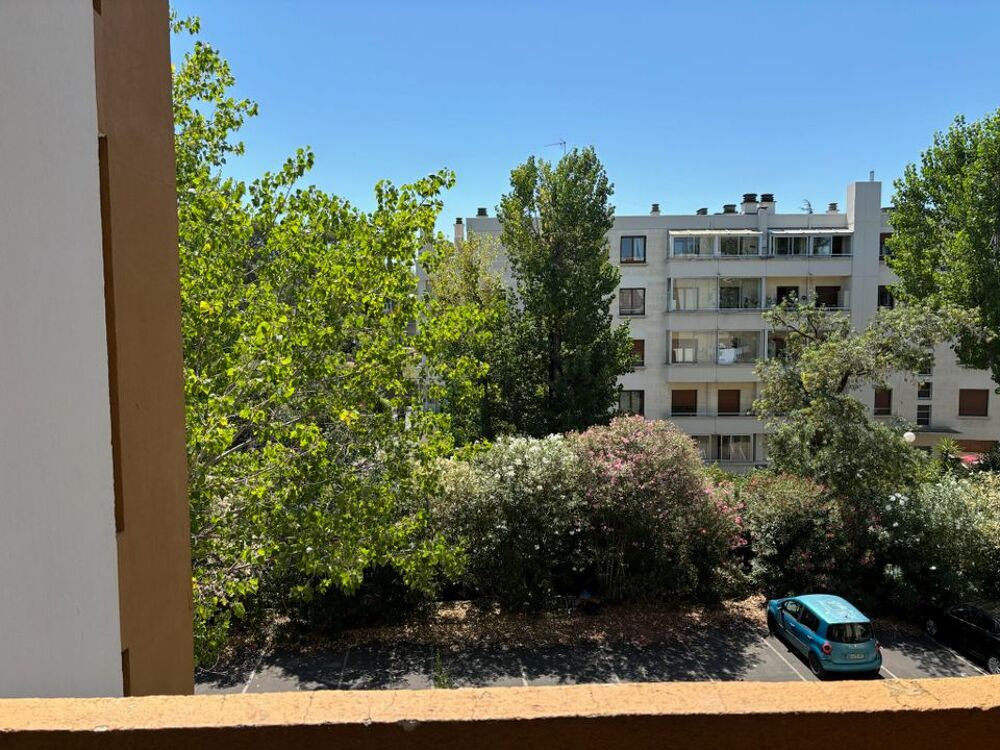 Location Appartement Studio de 25m2 à louer sur Montpellier Montpellier