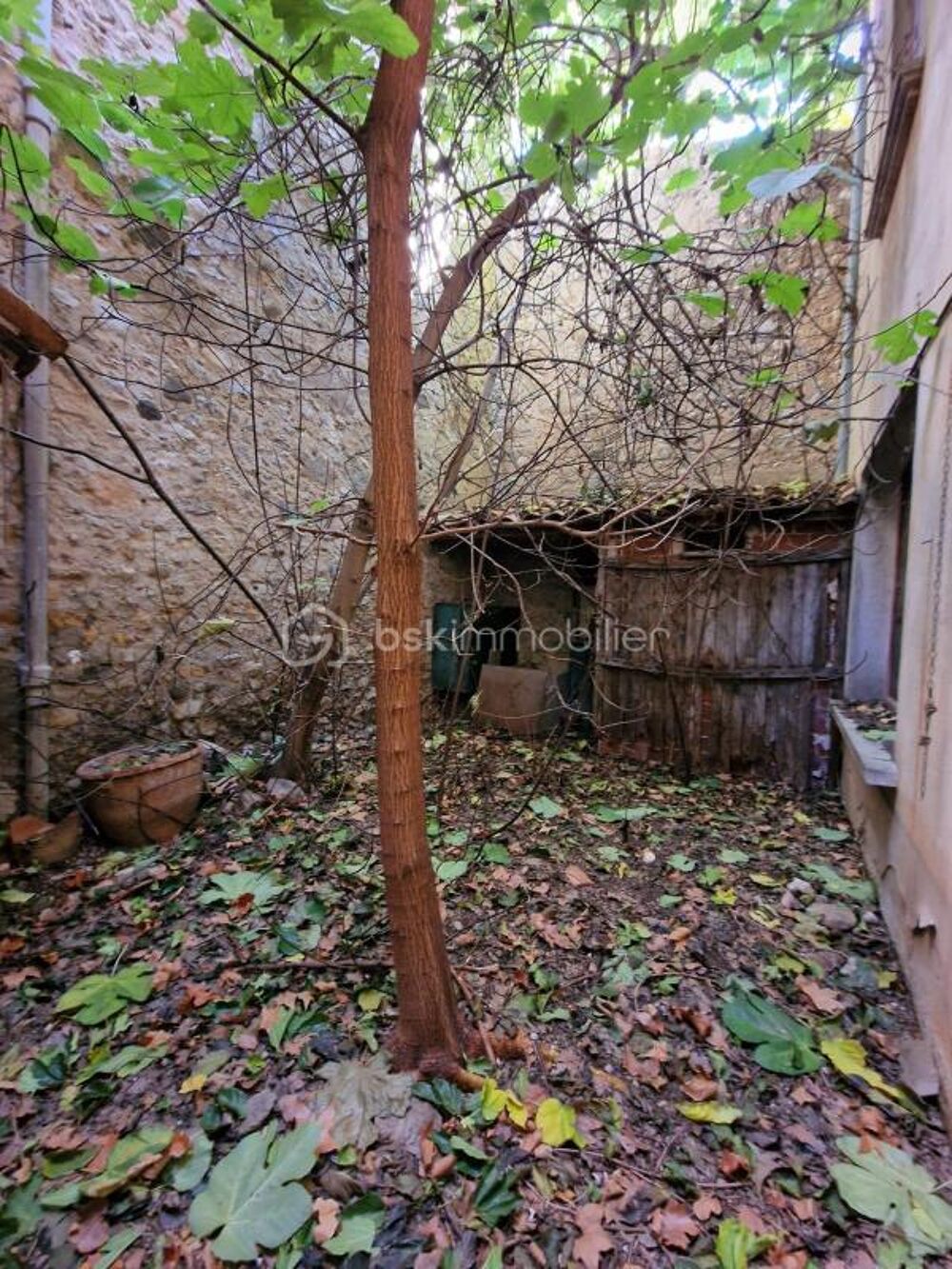 maison de village avec patio