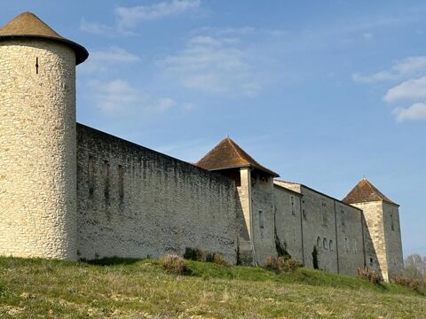   Domaine Historique d'Exception ,47 Hectares aux Portes de Libourne 
