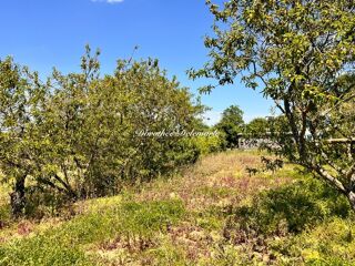  Terrain � vendre 1001 m�