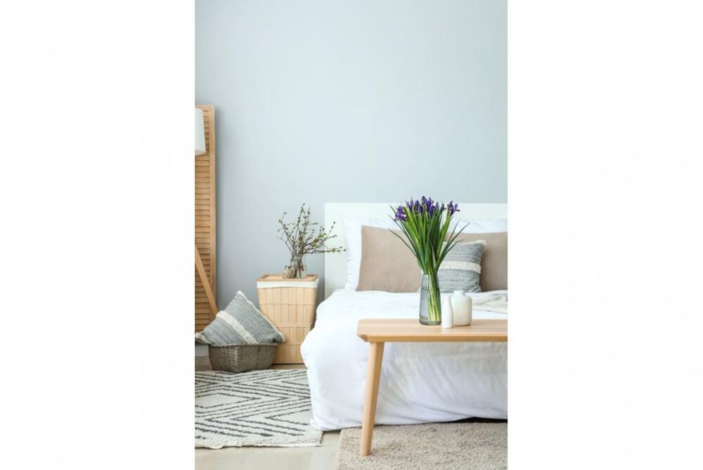 Vente Appartement Appartement T4 avec grande terrasse  Toulouse Toulouse
