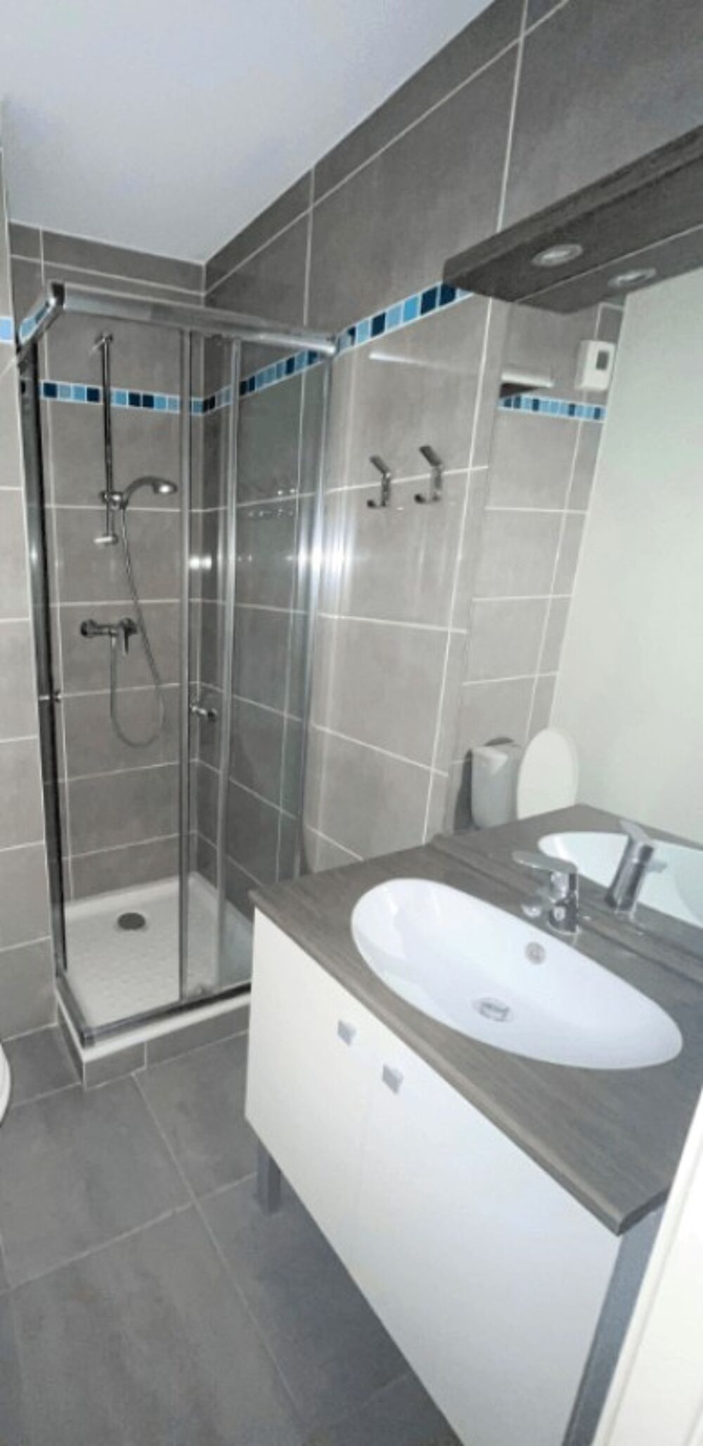Location Appartement Studio meublé à LYON 4 Lyon 4