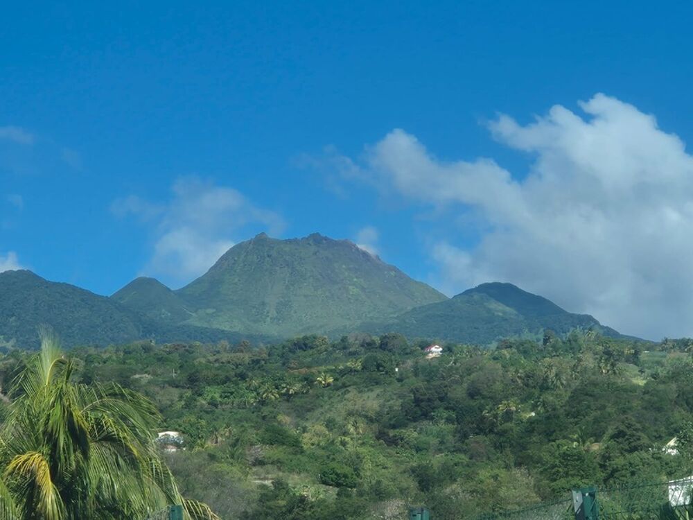 Vente Terrain RARE à BASSE-TERRE,Terrain plat 2200 m² avec + de la moitié construtible Basse terre