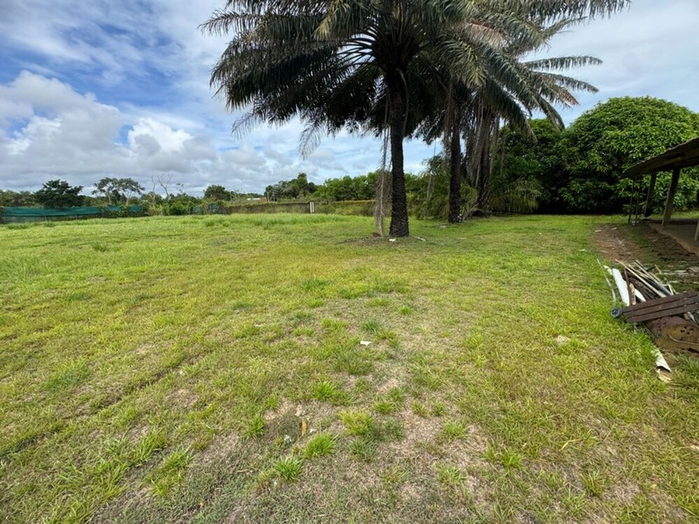 Vente Maison Exceptionnelle Maison a rénover sur une parcelle de 5000 m2 bord de RN1 Macouria Macouria