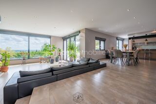  Villa à vendre 11 pièces 315 m²