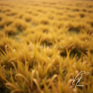  Terrain � vendre 360 m�