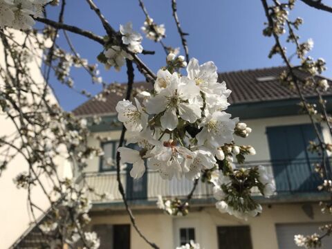  Appartement � louer 3 pi�ces 47 m�