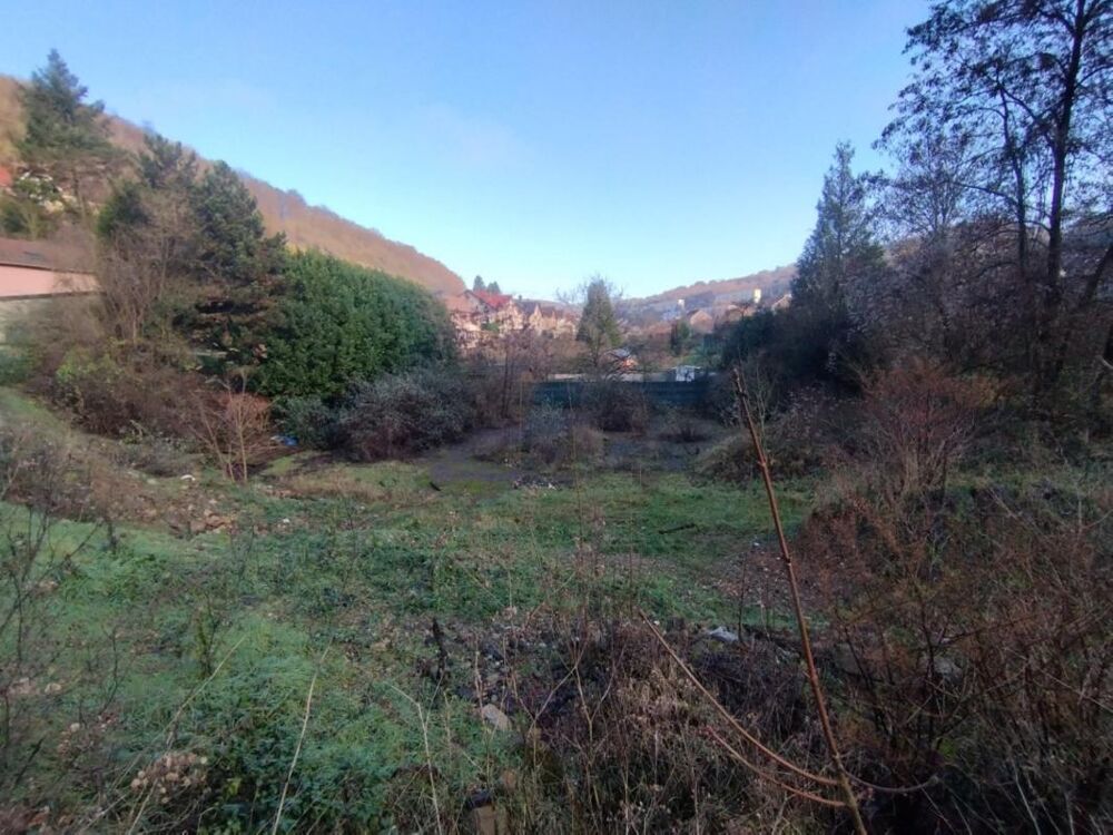 Vente Terrain Terrain libre de constructeur 13 ares Algrange