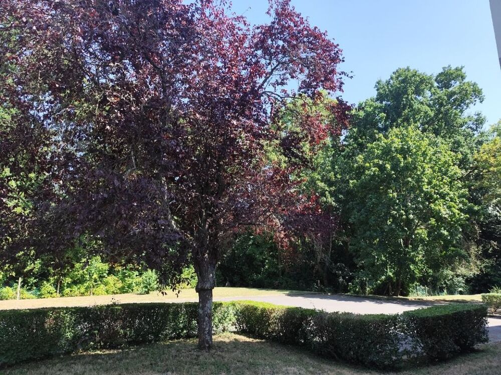 Location Appartement Appartement de 24m2 à louer sur Rennes Rennes