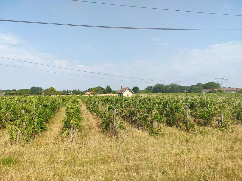 Vente Terrain TERRAIN AGRICOLE 3.13 HECTARES Sainte eulalie