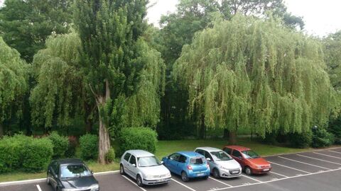  Appartement � louer 4 pi�ces 75 m�