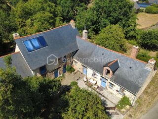  Propriété/château à vendre 11 pièces 252 m²