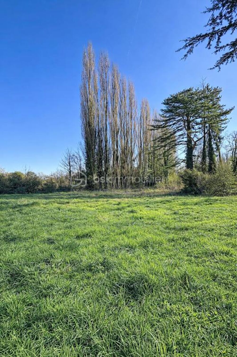 Vente Terrain Terrain à bâtir 588 m² – Essômes-sur-Marne – Viabilisé Essomes sur marne