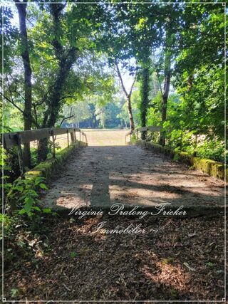  Proprit/chteau  vendre 9 pices 350 m