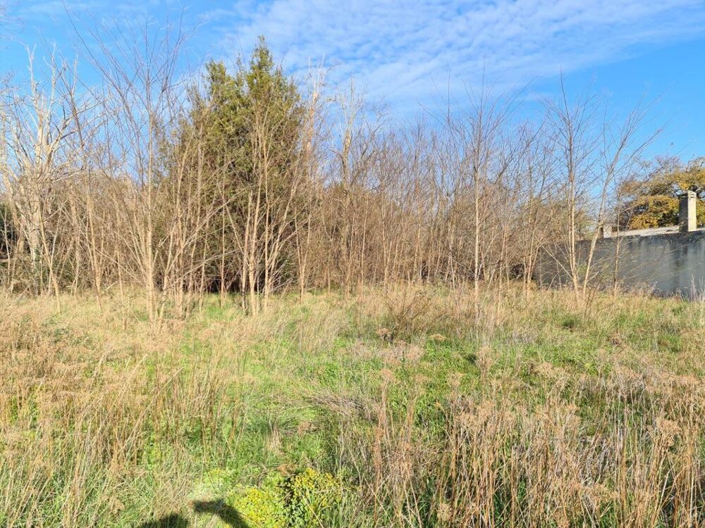 Vente Terrain 