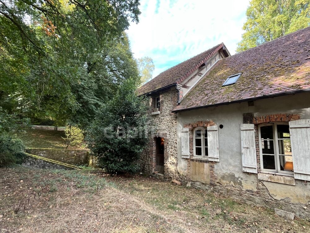 Ancien moulin au bord de rivière - 250m2 - énorme potentiel - 13ha de prairie et forêt - St Maurice sur Aveyron(45)