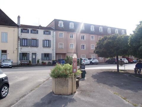   T2 récent Place d'Armes Saint-Jean-de-Losne Appartement - 2 pièce(s) - 42 m²