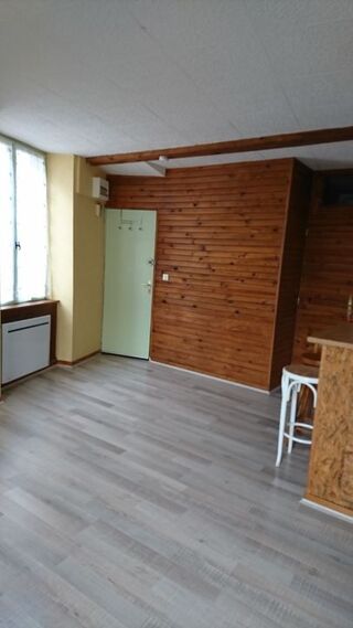  Appartement à louer 1 pièce 30 m²