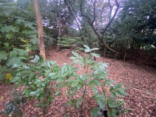  Terrain � vendre 1057 m�