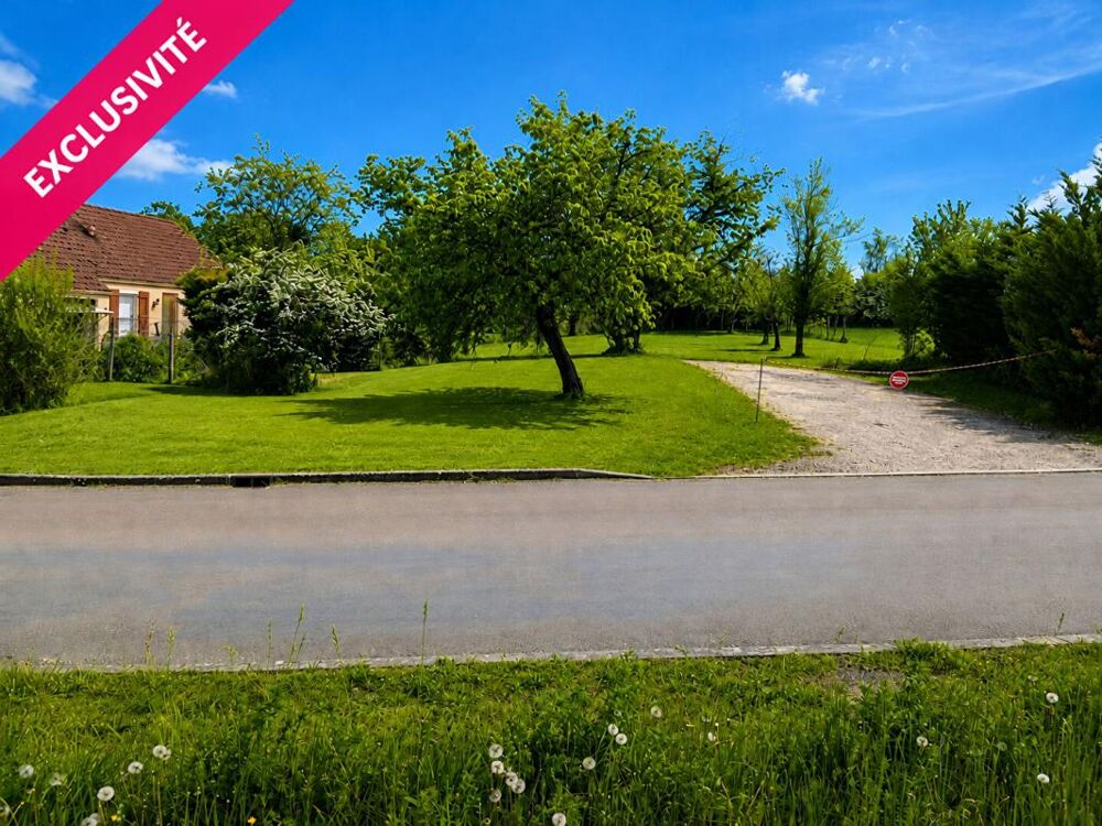 Vente Terrain Terrain Carisey 1100 m2 Carisey